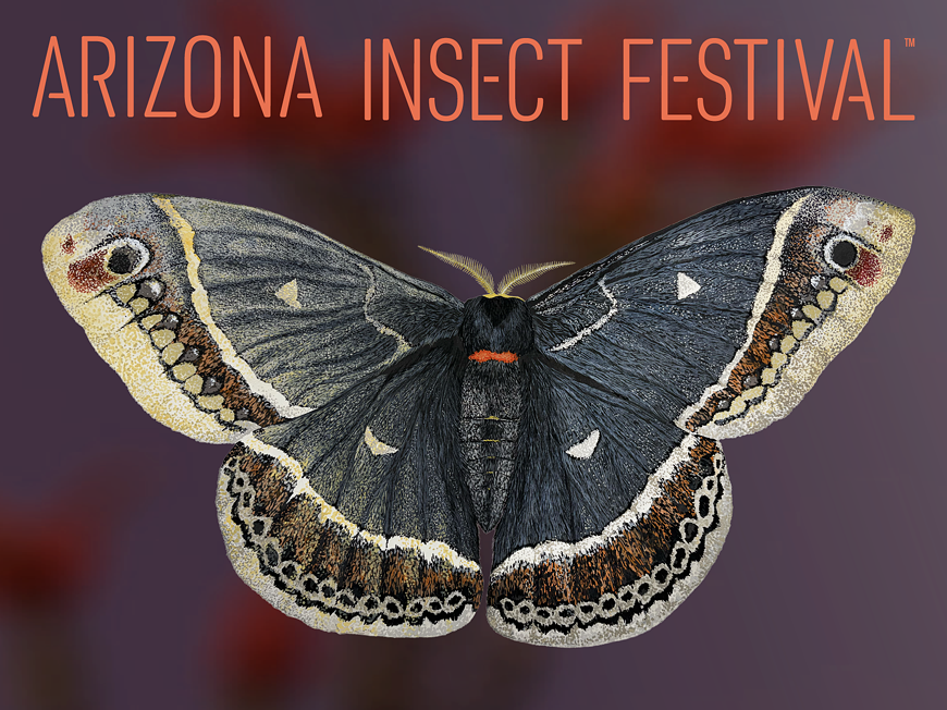 Arizona Insect Festival 2026 Flier