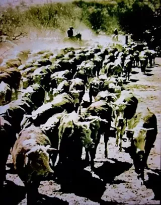 Image: All In A Day's Work - Life on the Ranch