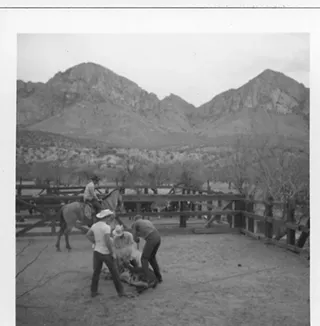 Image: All In A Day's Work - Life on the Ranch