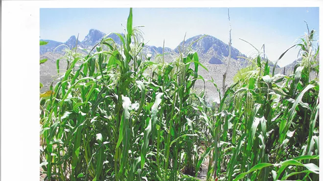 Image: America Semiquincentennial and the Town of Oro Valley