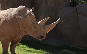 Image: Animal Care and Nutrition Behind-the-Scenes Experience