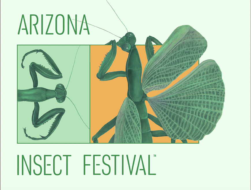 Arizona Insect Festival 2025 Flier
