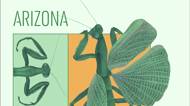 Image: Arizona Insect Festival 2025