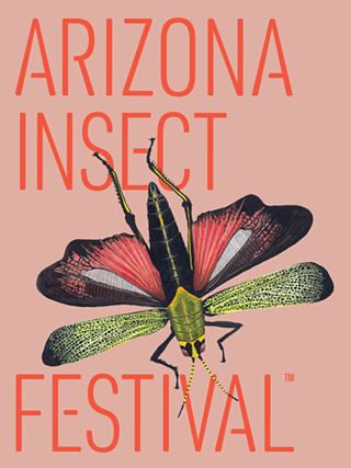 Image: Arizona Insect Festival