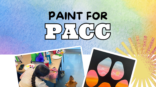 Image: Beginner Paint for PACC – Includes Traced Canvas