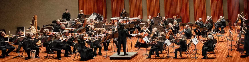 Civic Orchestra of Tucson