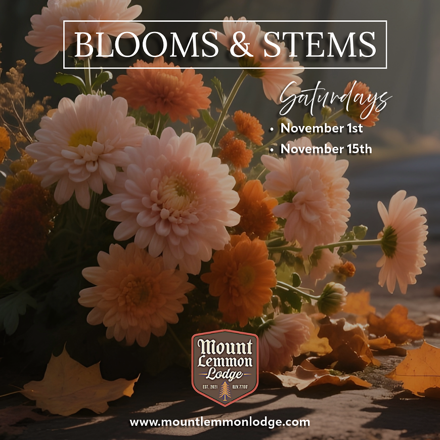 blooms___stems-tucson_weekly.png