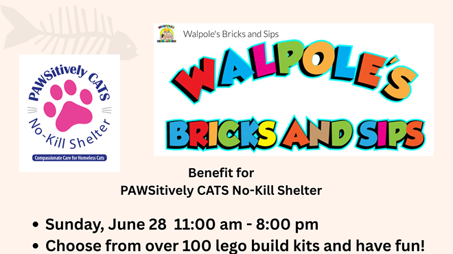 Image: Build Legos to Help PAWSitively CATS Shelter Kitties!