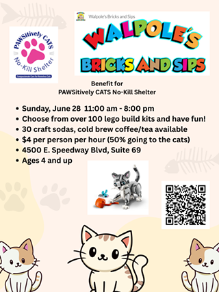 Image: Build Legos to Help PAWSitively CATS Shelter Kitties!