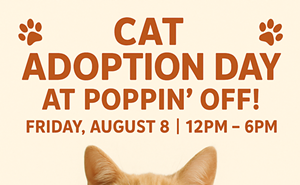Image: Cat Adoption Day @ Poppin' Off - Co-Hosted by Happy Tails TNR