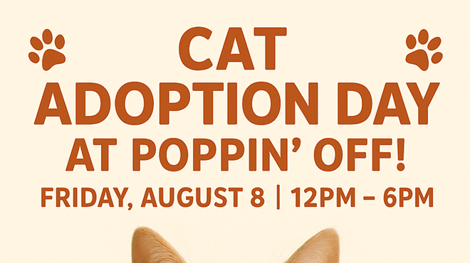 Image: Cat Adoption Day @ Poppin' Off - Co-Hosted by Happy Tails TNR