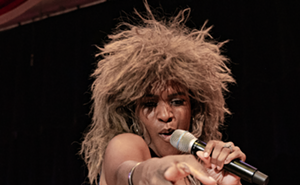 Image: Dee Johnson's Tina Turner Show