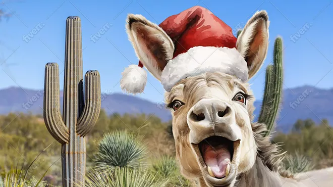 Image: Donkey Day Christmas
