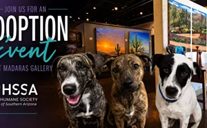 Image: Early Bird Kick-off and HSSA Adoption Event