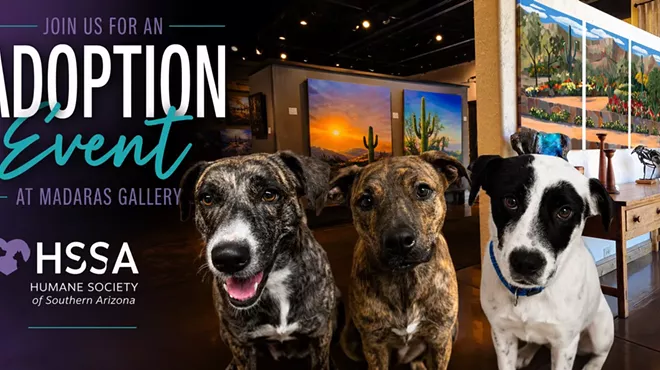 Image: Early Bird Kick-off and HSSA Adoption Event