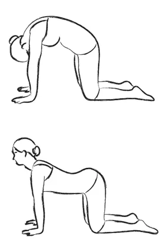 Image: Gentle Yoga