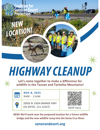 Image: Highway cleanup with the Coalition for Sonoran Desert Protection