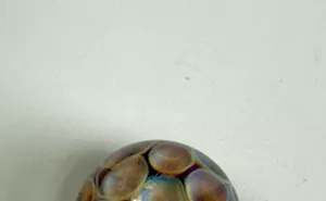 Image: Honeycomb Magnet