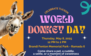 Image: Meet the Donkeys