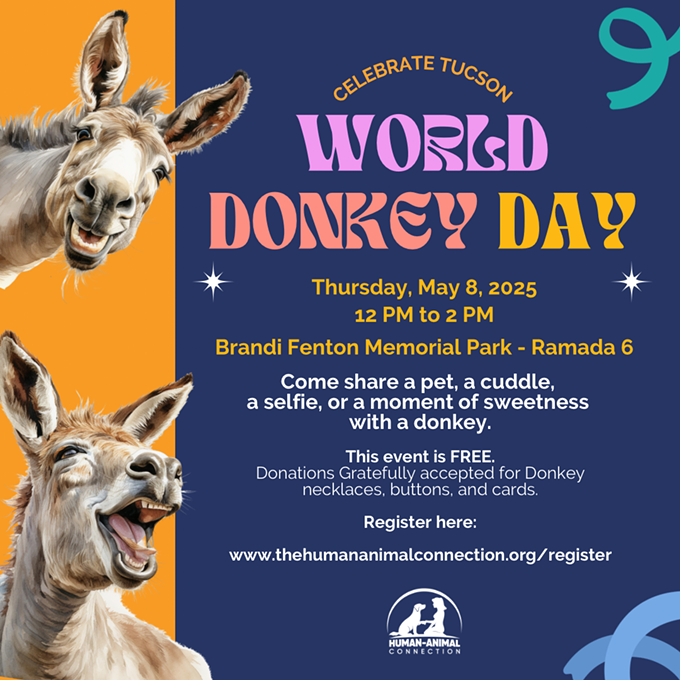 Meet the Donkeys