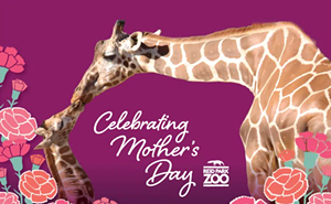 Image: Mother&rsquo;s Day 2026