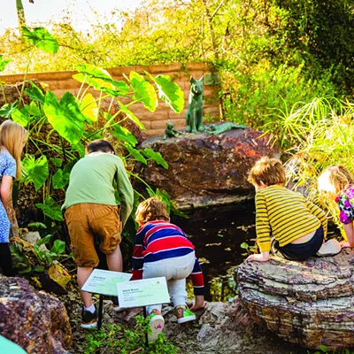Image: 'A Great collaboration': Tohono Chul Park and Children’s Museum Oro Valley provide unity in the Sonoran Desert