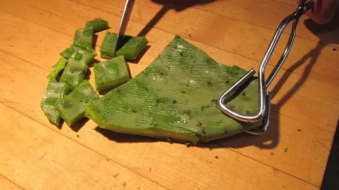 Image: Nopalitos Workshop