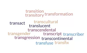 Image: Odyssey Storytelling Presents: Trans-