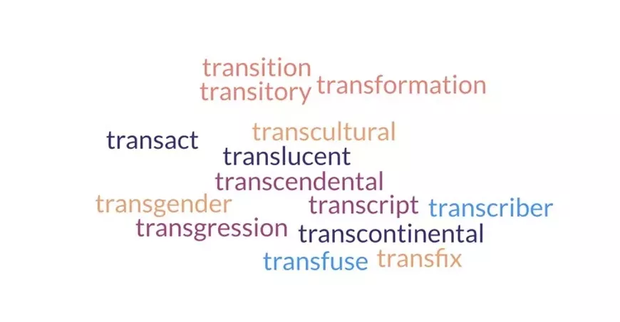 word_cloud_of_words_starting_with_the_trans_prefix.webp