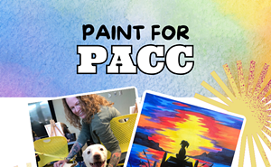 Image: Paint for PACC