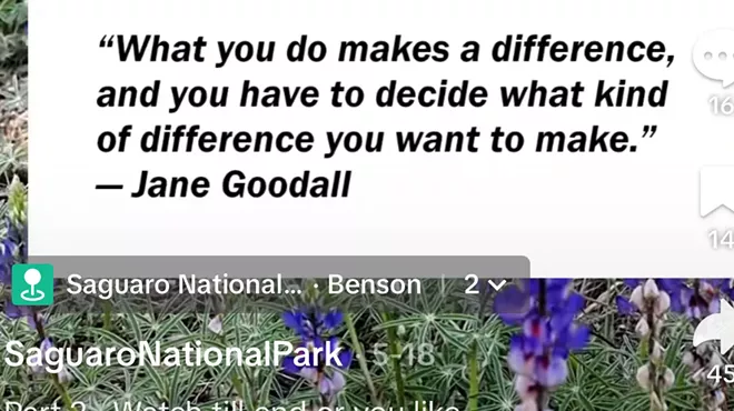 Image: Promoting Parks Through TikTok: How @saguaro.nps advocates for Saguaro National Park