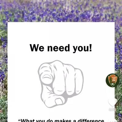 Image: Promoting Parks Through TikTok: How @saguaro.nps advocates for Saguaro National Park