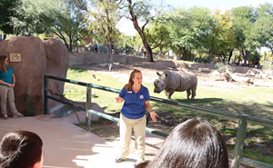Image: Rhino Behind-the-Scenes Experience