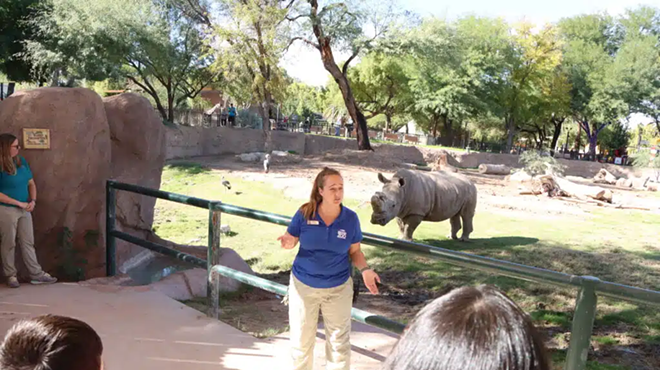 Image: Rhino Behind-the-Scenes Experience