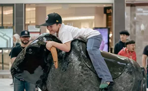 Image: Rodeo Round Up