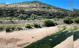 Image: Santa Cruz River History Tour - October and November