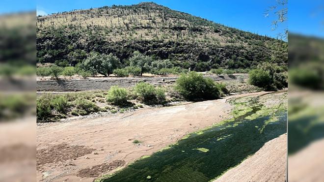 Image: Santa Cruz River History Tour - October and November