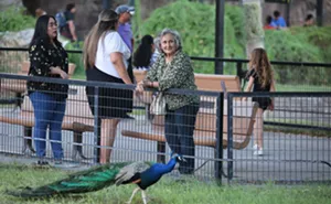 Image: Senior Celebration