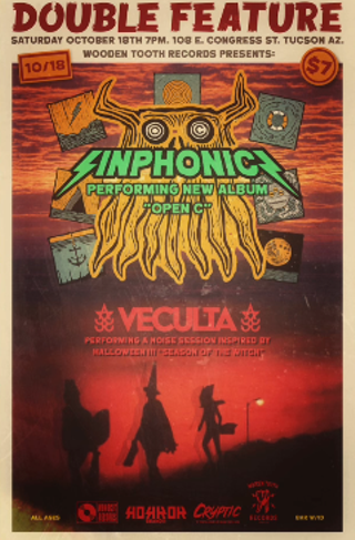 Image: Sinphonics album release show with Veculta
