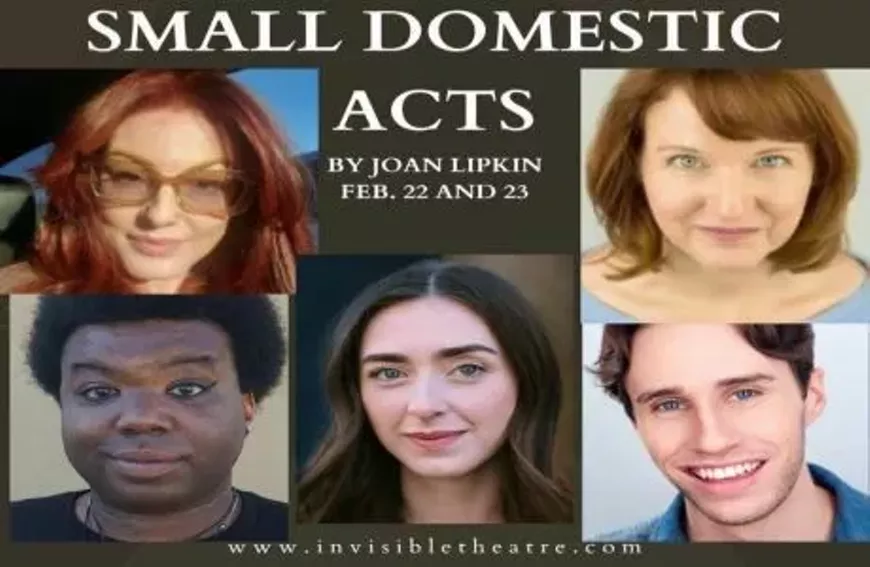 Small Domestic Acts