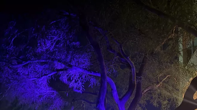 Image: Spooky Splash at Starr Pass