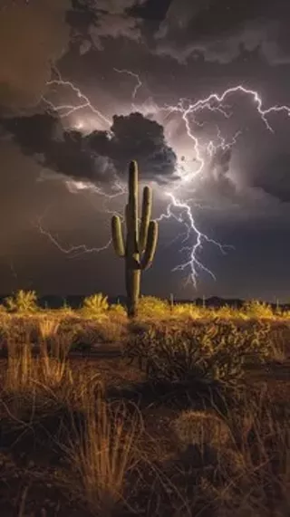 Image: Story Arts/Odyssey and Brick Box Present: Lightning Strikes