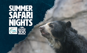 Image: Summer Safari Nights 2026