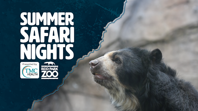 Image: Summer Safari Nights 2026