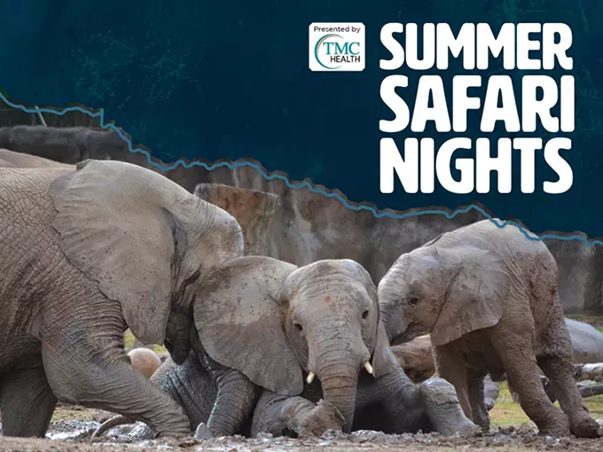 Summer Safari Nights: Friday and Saturday nights!