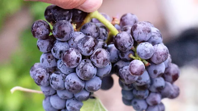 Image: Tasting History: Grapes