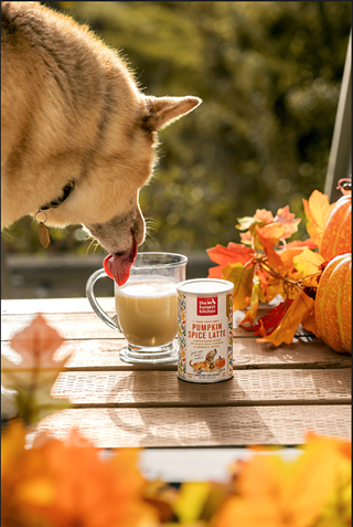 Image: The Honest Kitchen’s Dog-Friendly Pumpkin Spice Latte Sampling