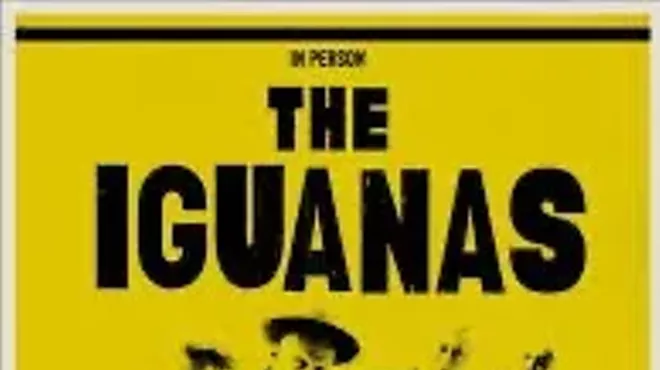 Image: The Iguanas