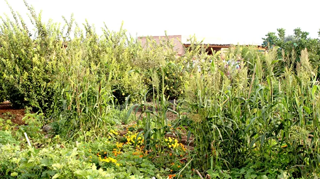 Image: Tour Local Farms in Support of Mission Garden on March 5