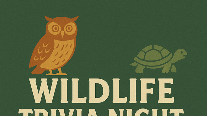 Image: Trivia Night - Wildlife @ Poppin' Off